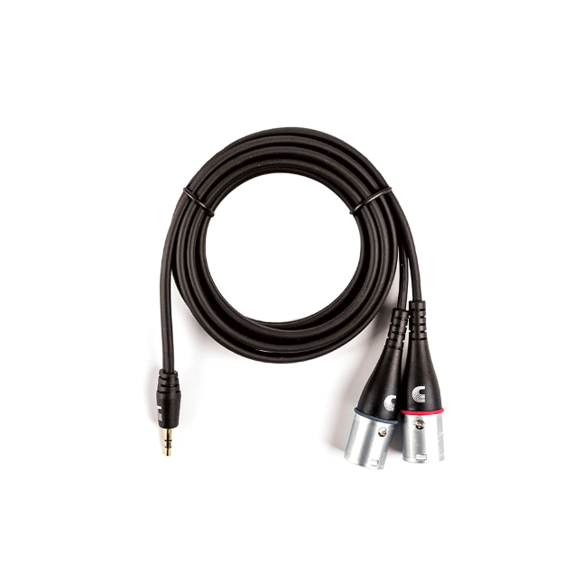 1-8-inch-to-dual-xlr-audio-cables-daddario-adaptador-mini-jack-para-xlr-dual-stereo_63a9ac08e47bb.png
