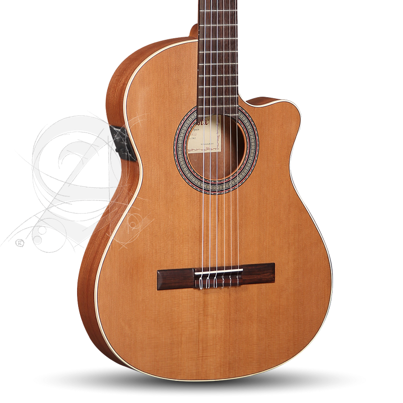 alhambra-z-nature-ct-ez-incl-gig-bag_67c83b77c0508.png