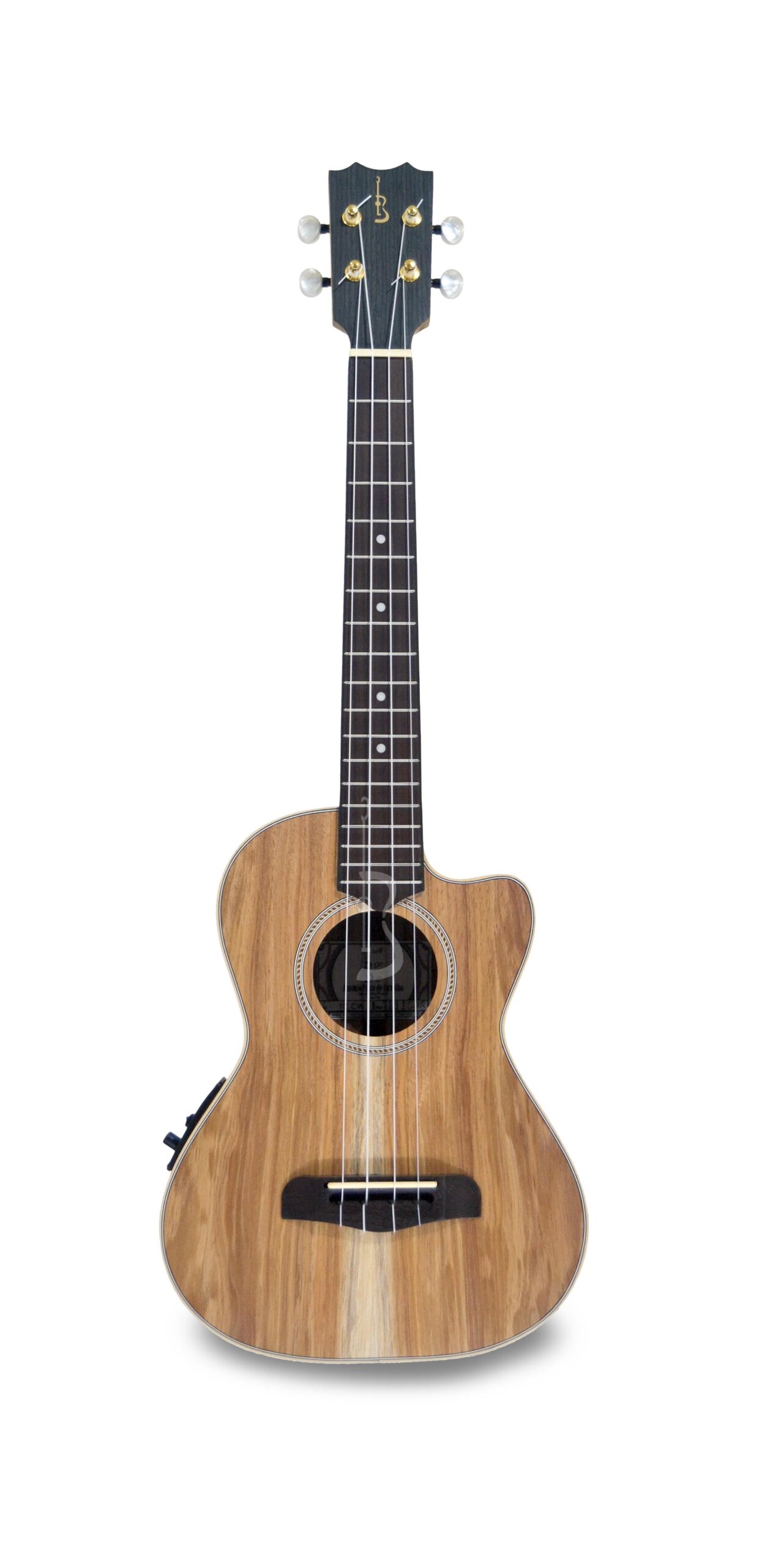 apc-ukelele-tenor-classico-cw-c-pickup_668fab5156180.jpg