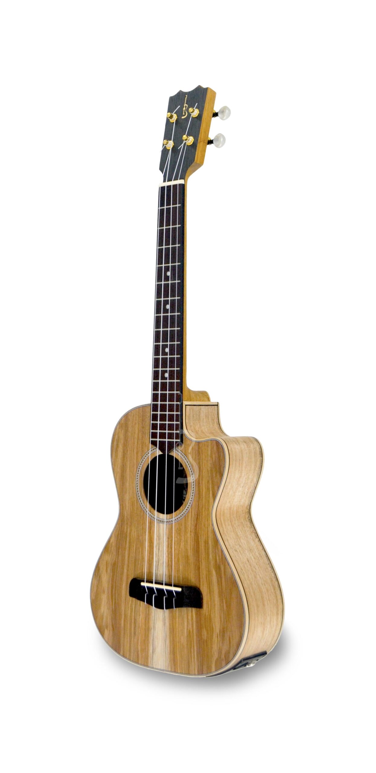 apc-ukelele-tenor-classico-cw-c-pickup_668fab5517089.jpg