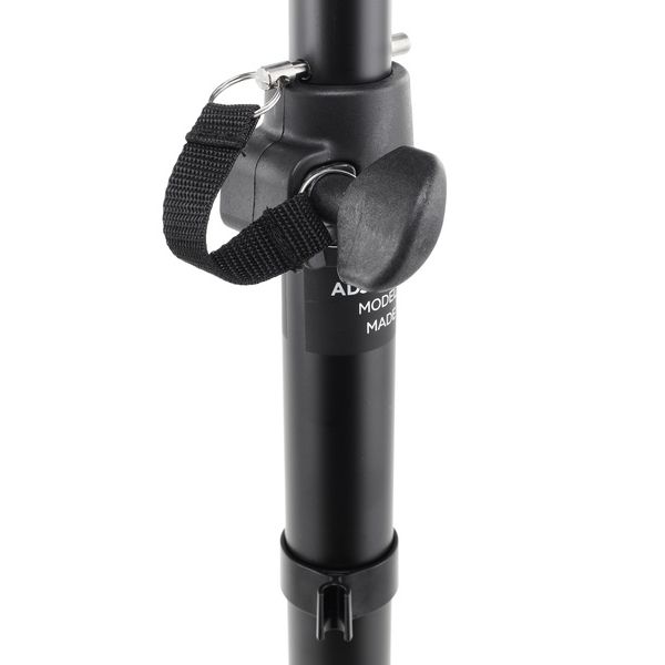 bose-sub1-sub2-pole_6a79fef85df94.jpg