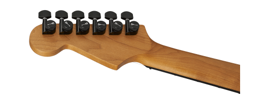 charvel-pro-mod-plus-dinky-dk24-hh-ht-eb-black-ash_6a70d01fa5508.png