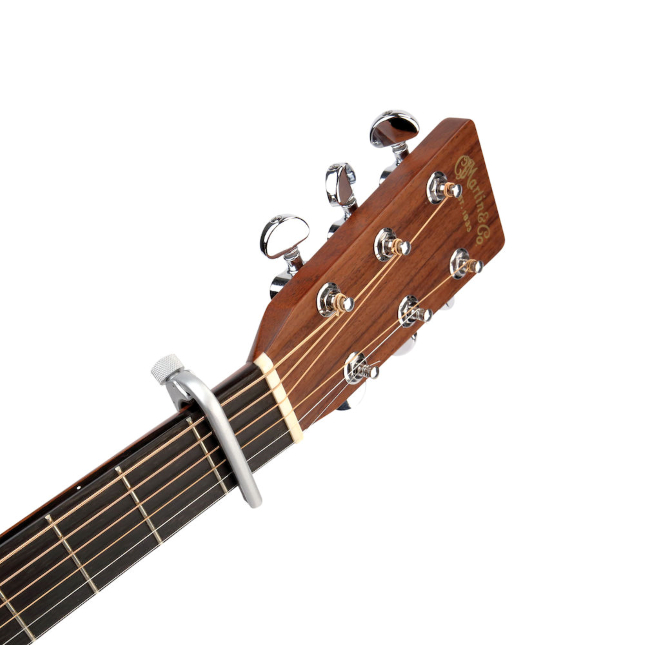 daddario-pro-capo-pw-cp-02s_63a98c3e8c2c1.jpg