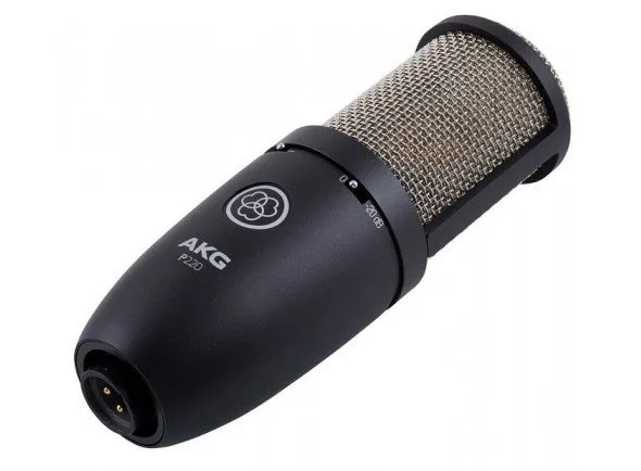 akg-p220_5654aed7700ea.webp