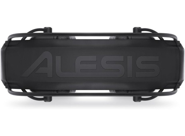 alesis-drp-100_678fc1c97360c.jpg