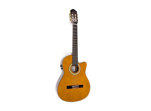 alysee-cl200ceg-guitarra-classica-cutaway-4-4-acabamento-brilhante_6a2c1e1b46c8b.jpg