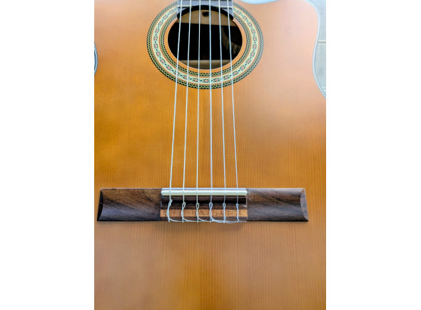 alysee-cl200ces-guitarra-classica-cutaway-4-4-acabamento-satinado_6a2c1d3207012.jpg