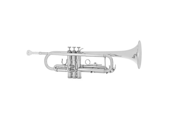 amadeus-tp-807n-nickel_68823fcfa3997.jpg