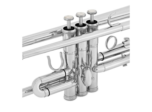 amadeus-tp-807n-nickel_68823fd1cffff.jpg