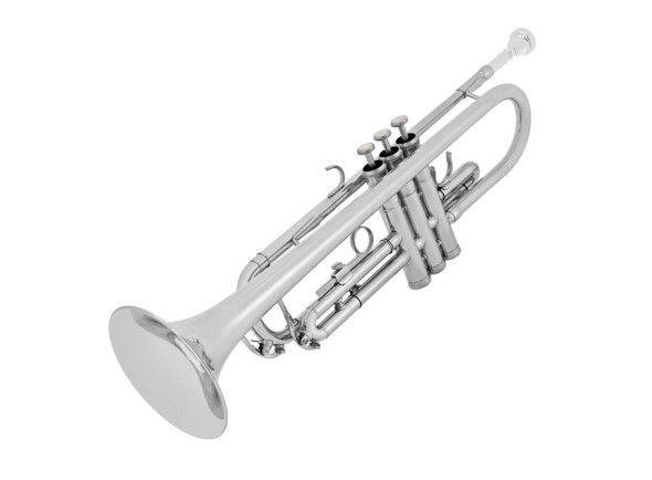 amadeus-tp-807n-nickel_68823fd3e74a8.jpg