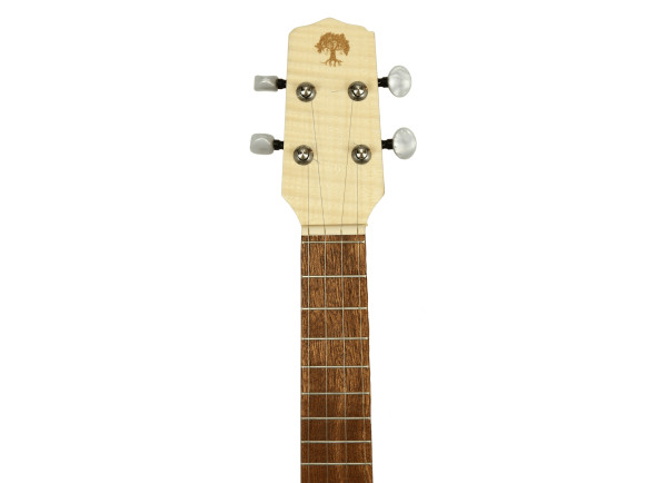 apc-cavaquinho-4-cordas_6ac9153af3d5b.jpg