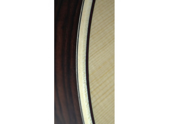 apc-luthier-cw_60366ccc3214f.jpg