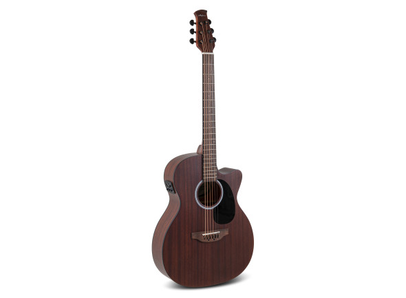 applause-wood-classics-aeo96-m-orchestra-model-electro_68343560b6832.jpg
