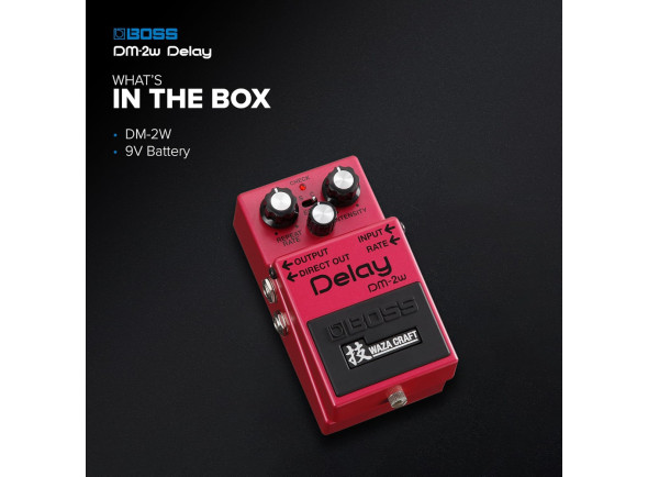 bboss-dm-2w-pedal-delay-edicao-especial-waza-craft-b_682dfdc21b1aa.jpg