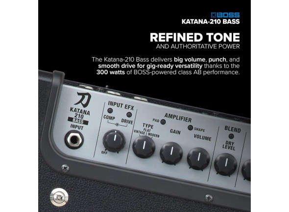 bboss-katana-210-bass-combo-de-baixo-profissional-classe-ab-300-watts-b_681b257684716.jpg
