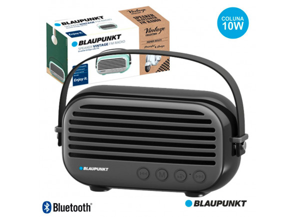 blaupunkt-blp3350133_600a97703bcfa.jpg