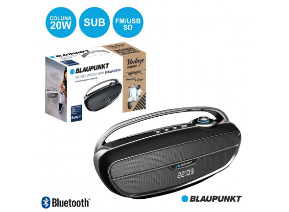 blaupunkt-blp3360133_600a96d194b9e.jpg