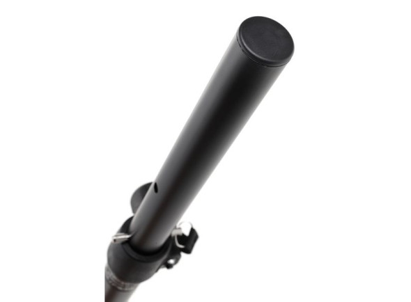 bose-sub1-sub2-pole_6a79fef50b903.jpg