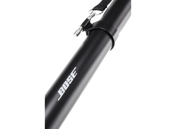 bose-sub1-sub2-pole_6a79fef6b2ab0.jpg