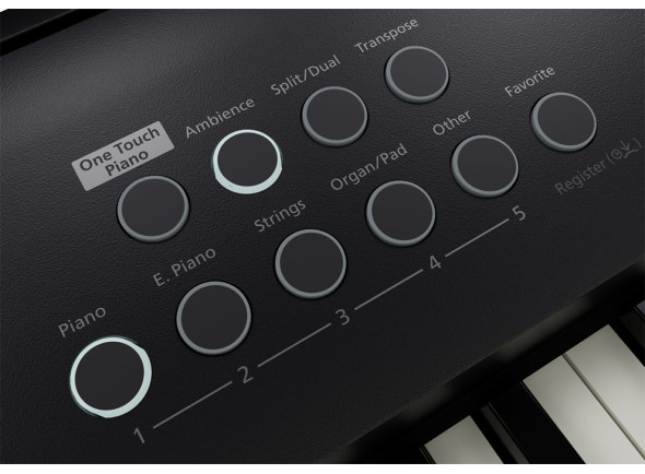 bpack-piano-roland-fp-e50-saco-transporte-almofadado-roland-cb-b88v2-b_6814e125e6720.jpg