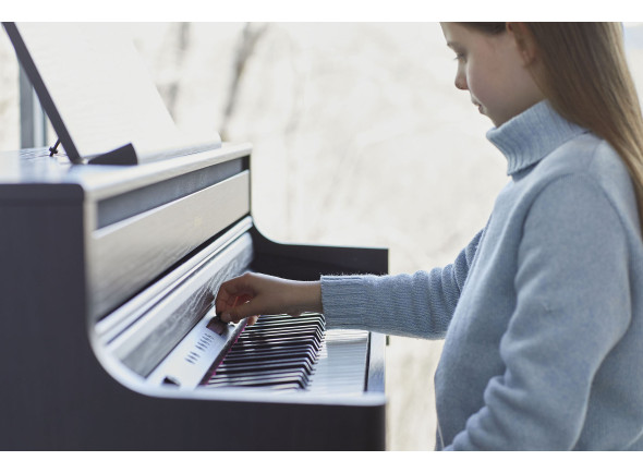 bpiano-digital-roland-hp704-ch-charcoal-black-preto-acetinado-premium-piano-eletrico-vertical-b_68b82ab541fb5.jpg