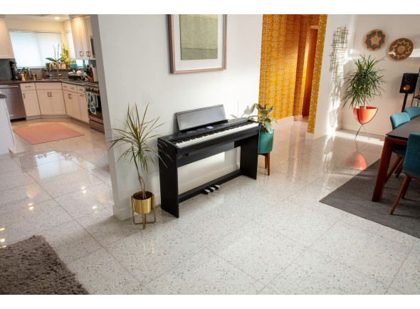 broland-fp-e50-com-movel-ksfe50-bk-e-barra-de-pedais-kpd-70-bk-incluidos-b_683047d767955.jpeg