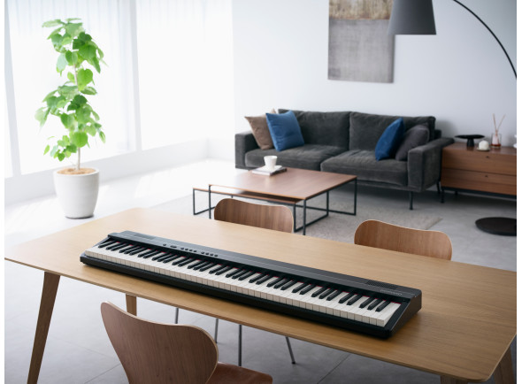 broland-go-piano-88-px-portable-piano-iniciacao-musical-88-teclas-b_683d8d07764e8.jpg