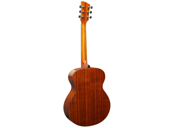 brunswick-grand-auditorium-mahogany-gloss_6914708fcfd8f.jpg