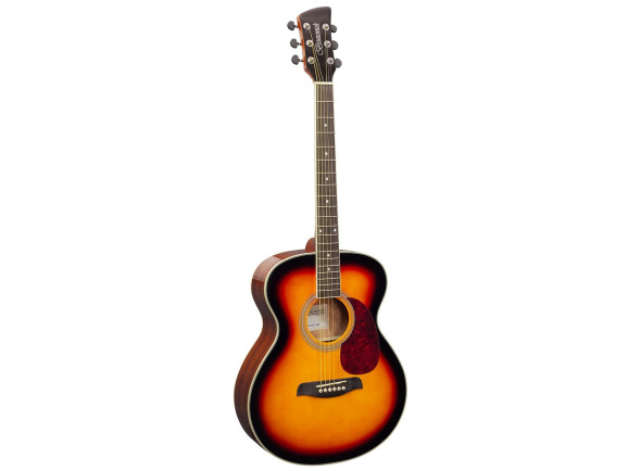 brunswick-grand-auditorium-sunburst-gloss_6914737b6bb30.jpg