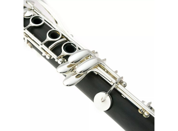 buffet-crampon-e12fl-bb-clarinet-18-6_672399c53a92a.jpg