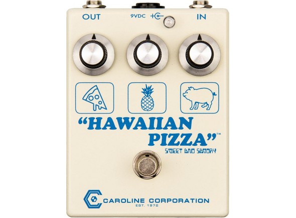 caroline-guitar-company-hawaiian-pizza_5f2bda6912ed5.jpg