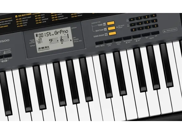 casio-ctk-2500_5e68c4afd9a1a.webp