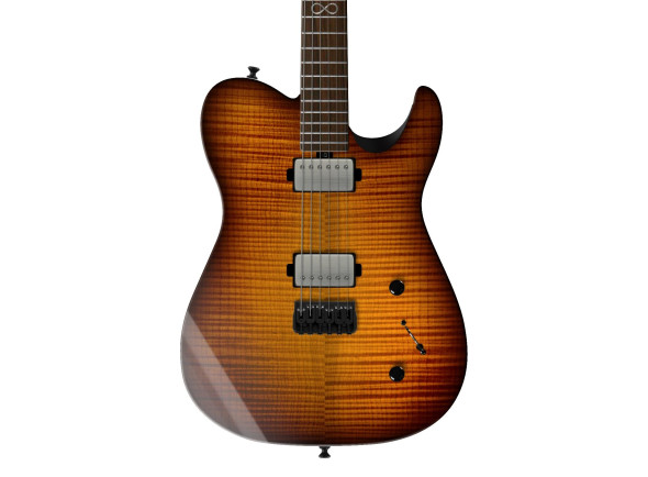 chapman-law-maker-legacy-tiger-eye-burst_69dfadb5e454d.jpg