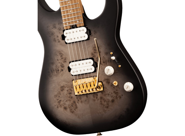 charvel-pro-mod-dk24-hh-2pt-cm-poplar-burl-caramelized-maple-fingerboard-transparent-black-burst_6227948445cf1.jpg