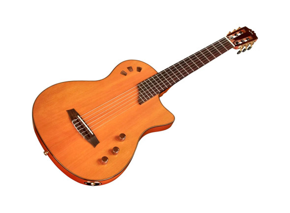 cordoba-stage-guitar-traditional-cd_6a2ac17708ed5.jpg