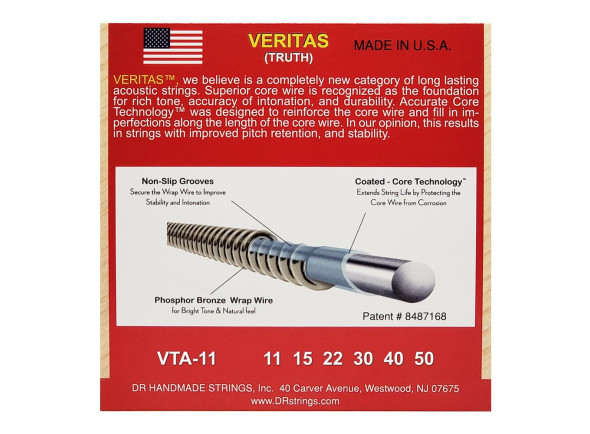 dr-strings-veritas-acoustic-vta-11_679a4a6fb80fb.jpg