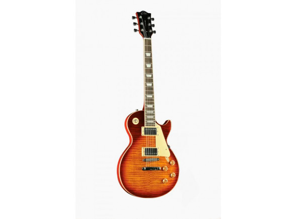 eko-lp-480-aged-cherry-sunburst-flamed_63ce9cd24d0d5.jpg