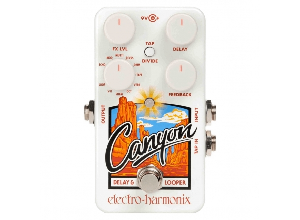 electro-harmonix-canyon-delay-looper_5e7ced8ecaed9.jpg