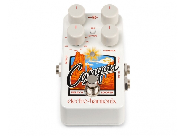 electro-harmonix-canyon-delay-looper_5e7ced8f7d3dc.jpg