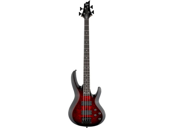 esp-ltd-b-204dx-rb_69f89a7e5b167.jpg