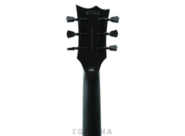 esp-ltd-ec-256-black-satin_634eba1b69f41.jpg