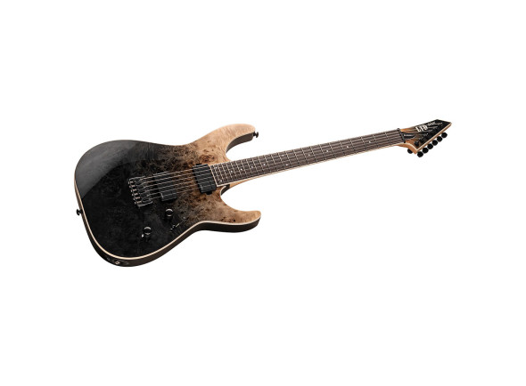 esp-ltd-m-1000ht-bp-black-fade_660a92d312935.jpg