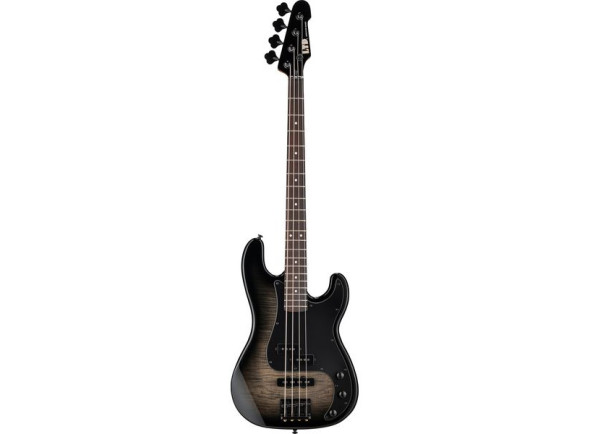 esp-ltd-surveyor-204dx-bb_69f89d5835d5c.jpg