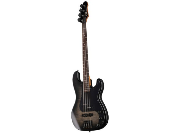 esp-ltd-surveyor-204dx-bb_69f89d5a39ec9.jpg