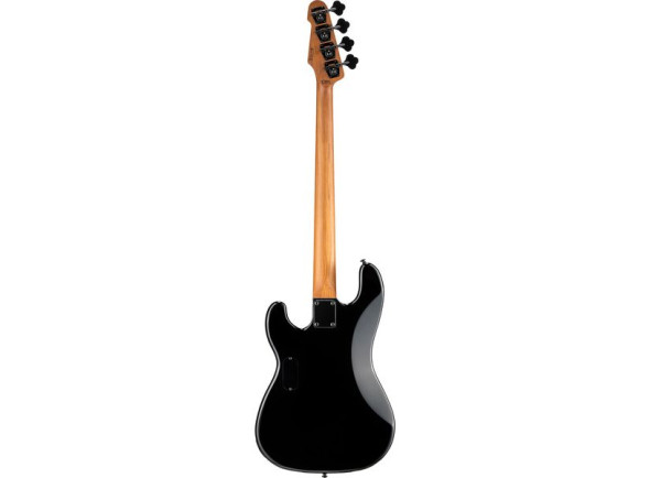 esp-ltd-surveyor-204dx-bb_69f89d5c30f4e.jpg