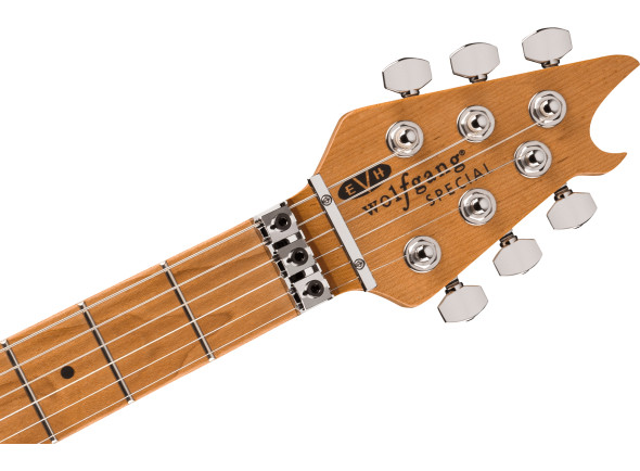 evh-evh-wolfgang-special-qm-tigereyeg_66e3f80035120.jpg