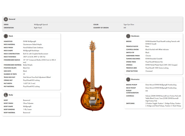 evh-evh-wolfgang-special-qm-tigereyeg_66e3f80c32217.jpg