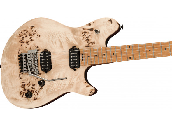 evh-wolfgang-wg-standard-exotic-poplar-burl-baked-maple-fingerboard-natural_63cac3981ad2e.jpg