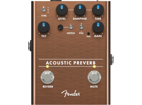 fender-acoustic-preverb_5f8dbe1792192.jpg