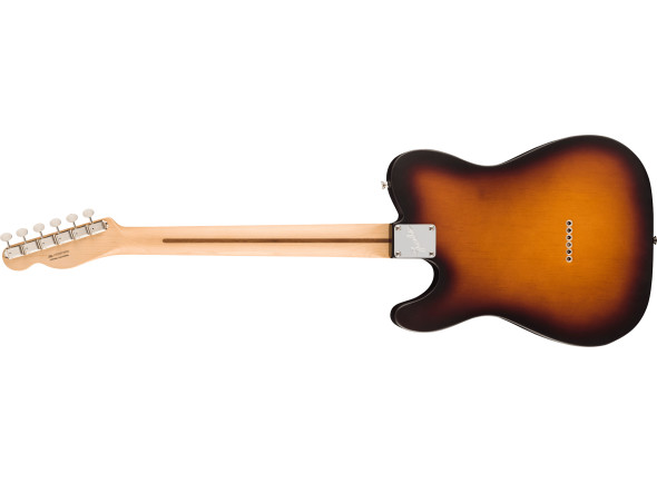 fender-american-performer-telecaster-rosewood-fingerboard-2-color-sunburst_668e8b6ed747c.jpg